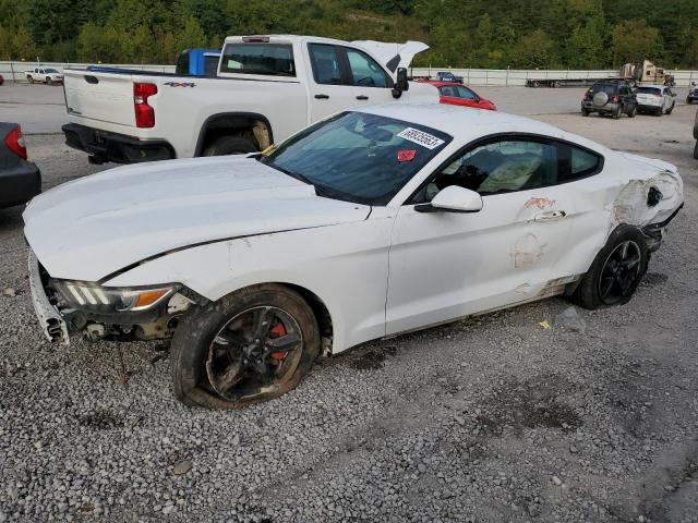 2017 FORD MUSTANG  2017 image