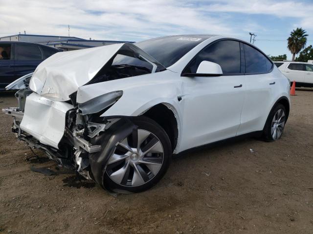 2023 TESLA MODEL Y  2023 image