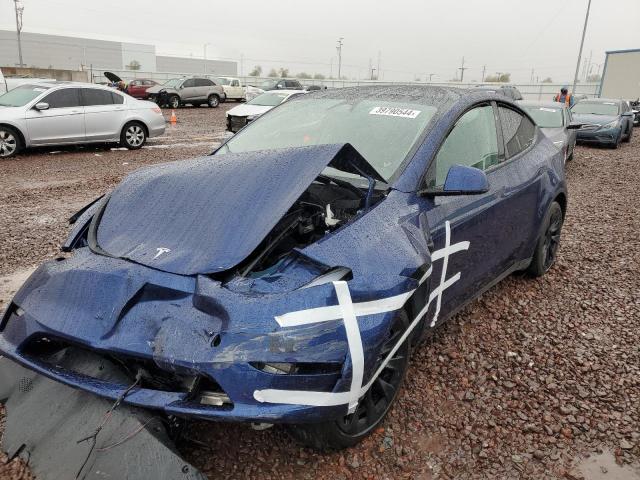 2023 TESLA MODEL Y  2023 image
