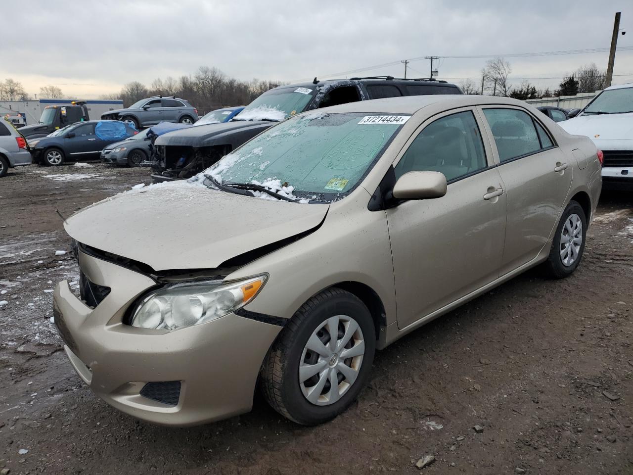 Image 1 of 2010 TOYOTA COROLLA BASE 2010 with VIN 2T1BU4EE3AC363392