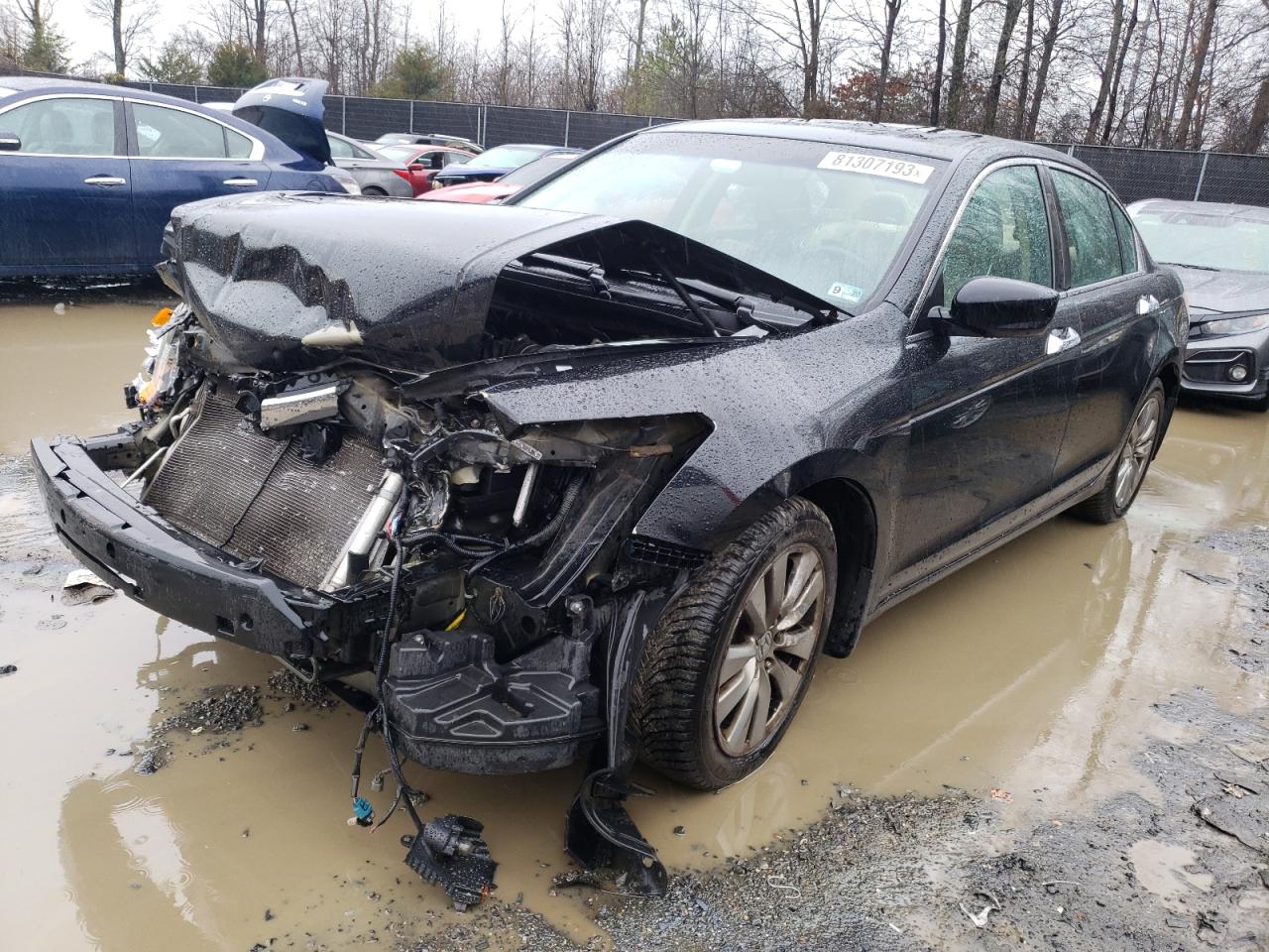 Obraz 1 z 2012 HONDA ACCORD EXL 2012 z VIN 1HGCP3F82CA042399