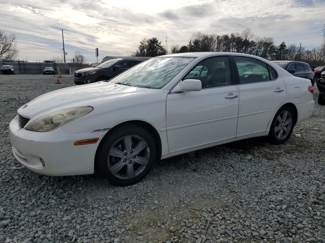 2006 LEXUS ES 330 2006 image