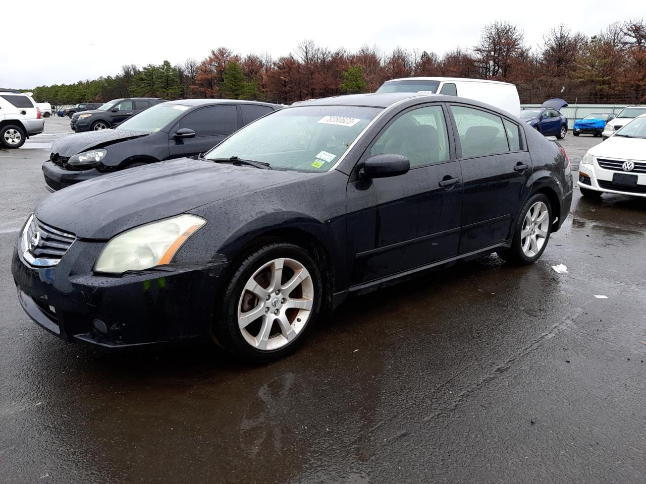 Obraz 2008 NISSAN MAXIMA SE 2008