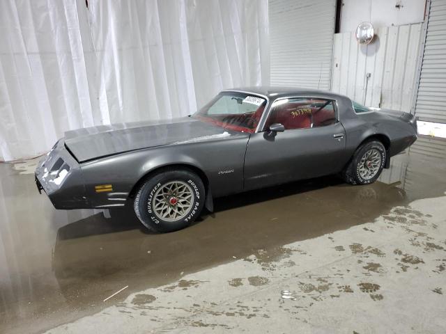 1981 PONTIAC FIREBIRD  1981 image