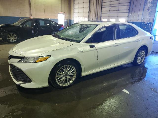 Obraz 1 z 2020 TOYOTA CAMRY XLE 2020 z VIN 4T1F31AK0LU536995