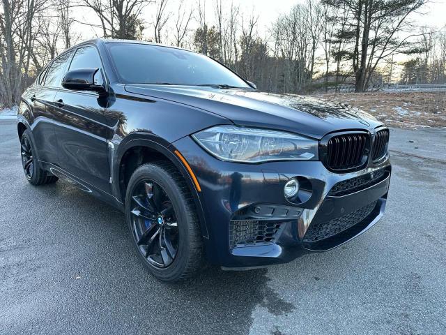 2015 BMW X6 M 2015 image