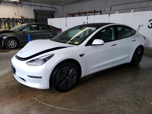 2023 TESLA MODEL 3  2023 image