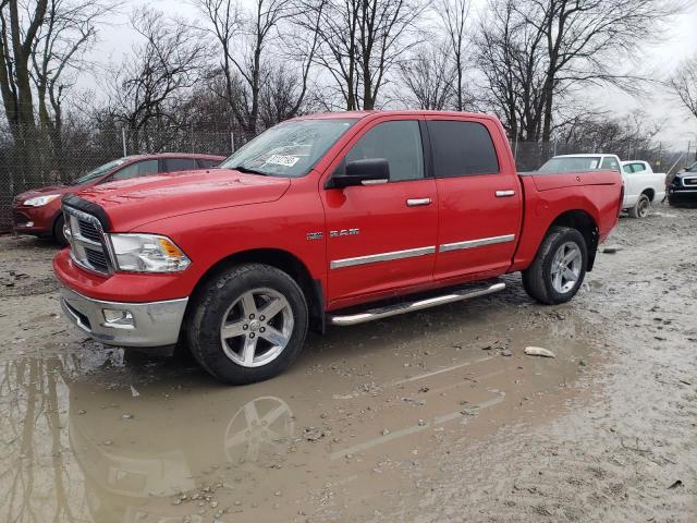 Obraz 1 z 2009 DODGE RAM 1500  2009 z VIN 1D3HV13T39J514956