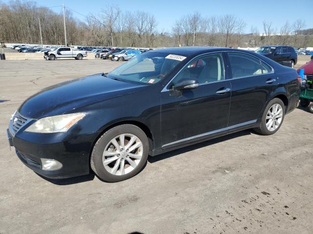 2010 LEXUS ES 350 2010 image