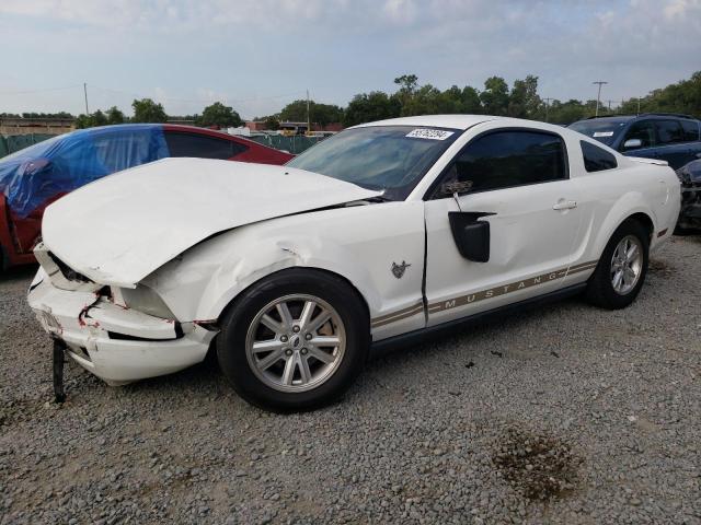 2009 FORD MUSTANG  2009 image