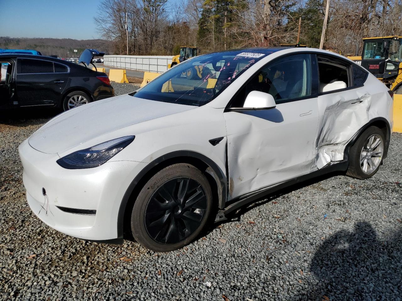 2023 TESLA MODEL Y  2023 image