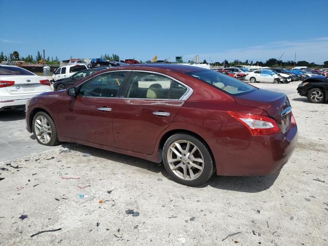 Image 2 of 2010 NISSAN MAXIMA S 2010 with VIN 1N4AA5AP9AC805981