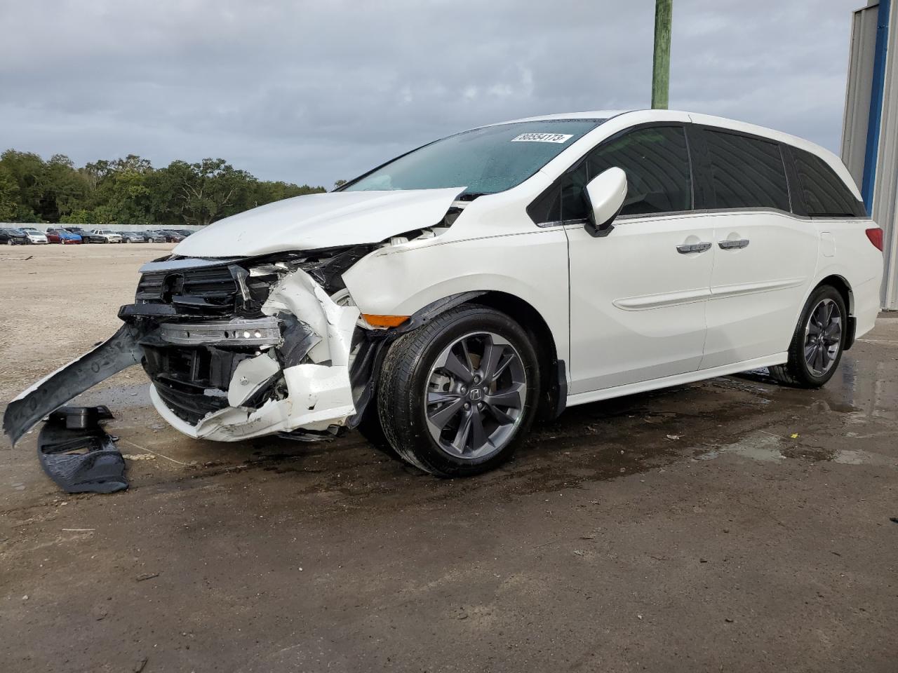 Изображение 1 2023 HONDA ODYSSEY ELITE 2023 с VIN 5FNRL6H98PB004927