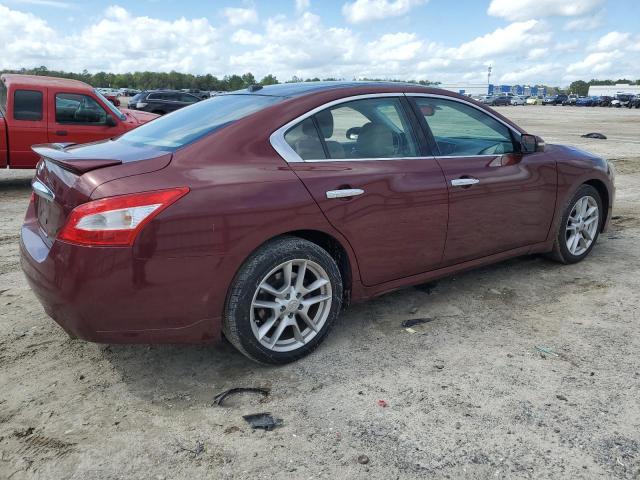 Изображение 3 2009 NISSAN MAXIMA S 2009 с VIN 1N4AA51E39C833804