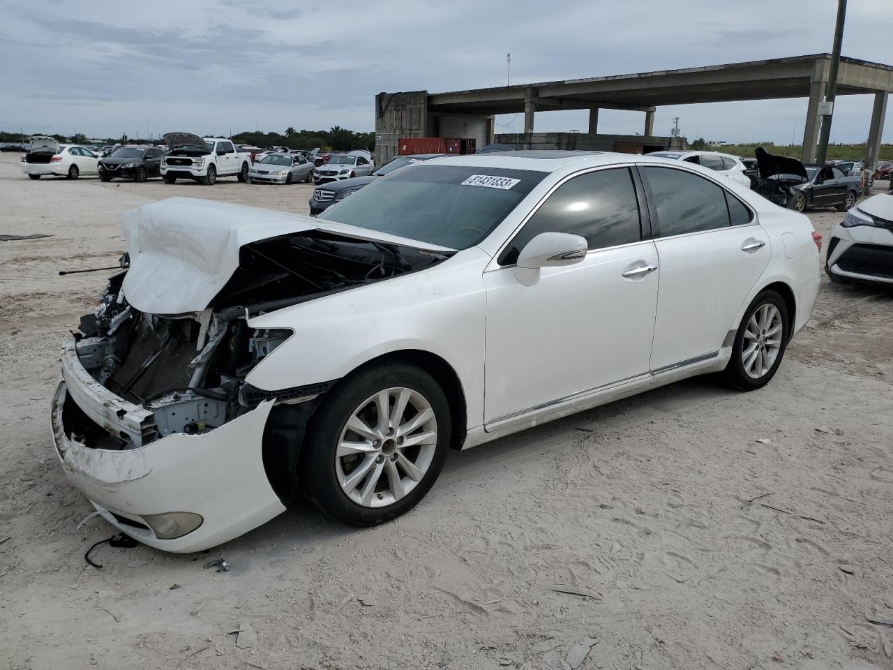 Obraz 2011 LEXUS ES 350 2011