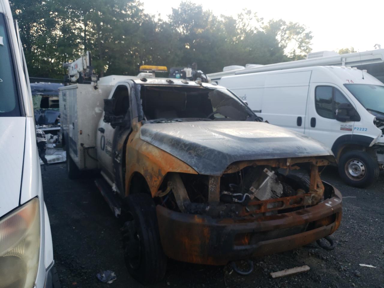 Obraz 2018 RAM 5500  2018