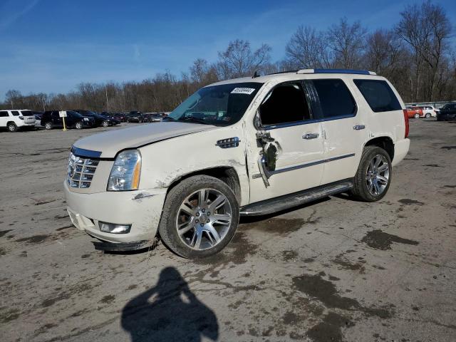 Image 1 of 2010 CADILLAC ESCALADE LUXURY 2010 with VIN 1GYUKBEFXAR157594