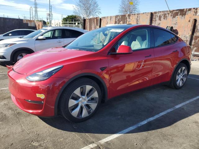 2022 TESLA MODEL Y  2022 image