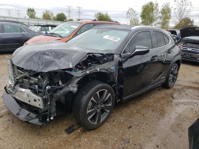 Obraz 2020 LEXUS UX 250H 2020