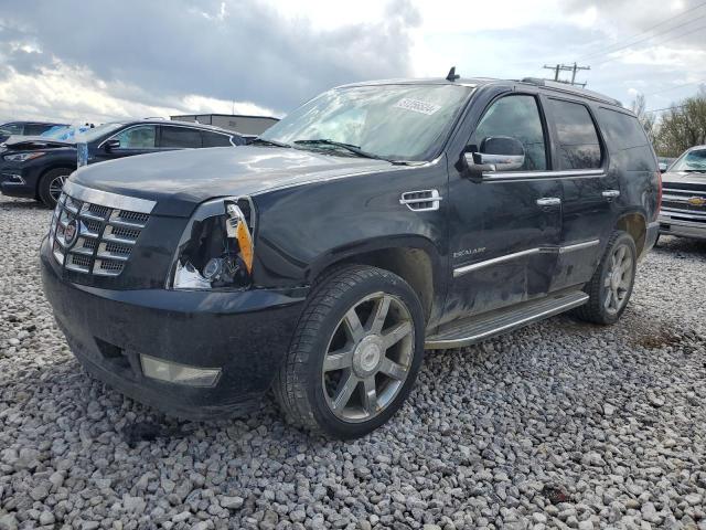 2010 CADILLAC ESCALADE LUXURY 2010 image