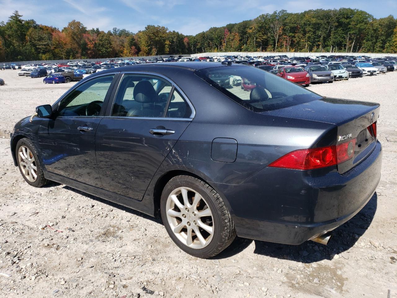 Image 2 of 2006 ACURA TSX  2006 with VIN JH4CL96836C013109