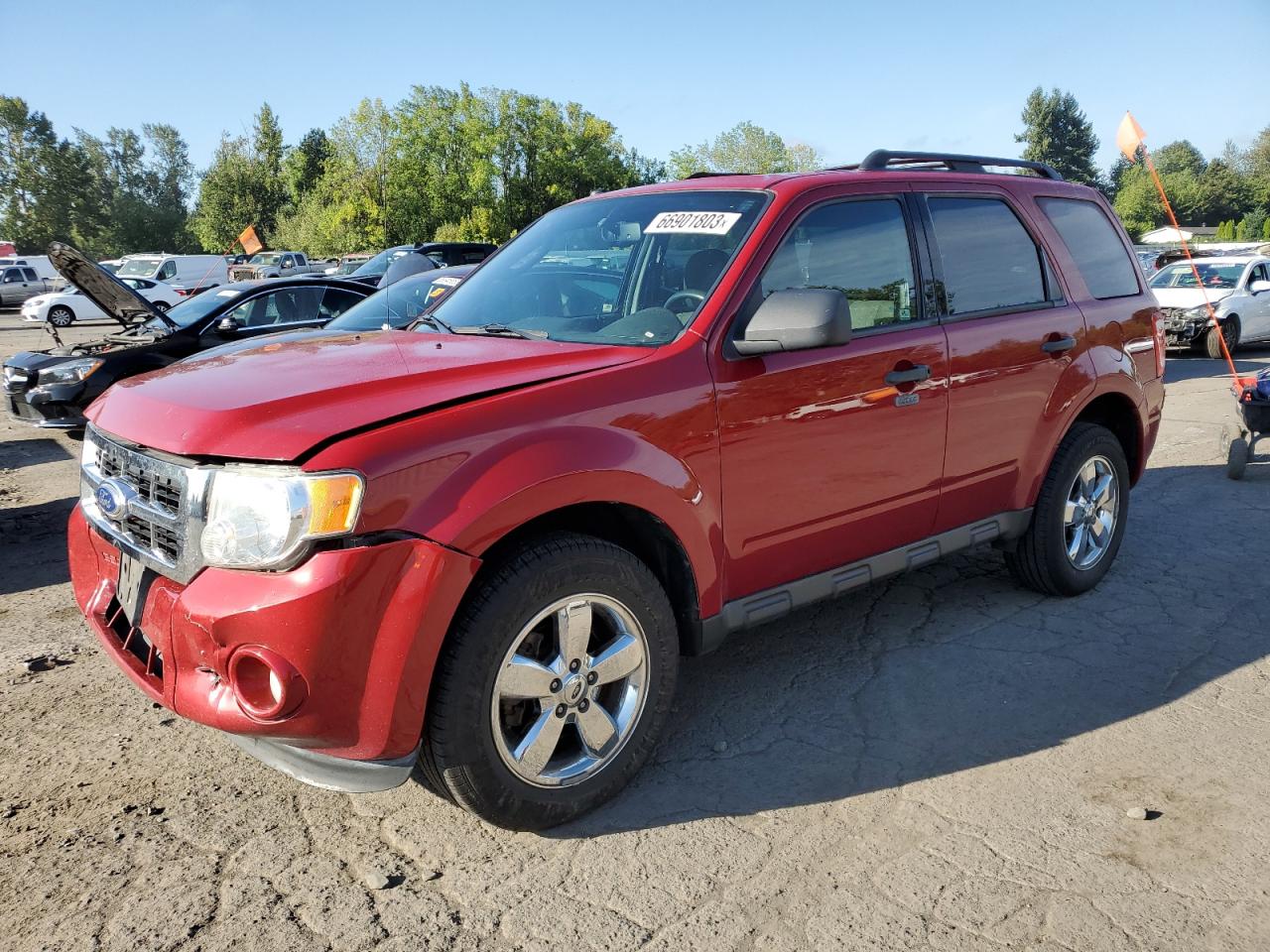 Obraz 2011 FORD ESCAPE XLT 2011
