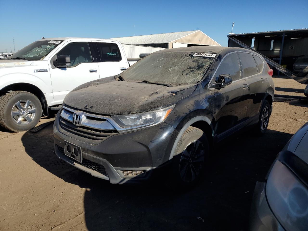 2017 HONDA CR-V LX 2017 image