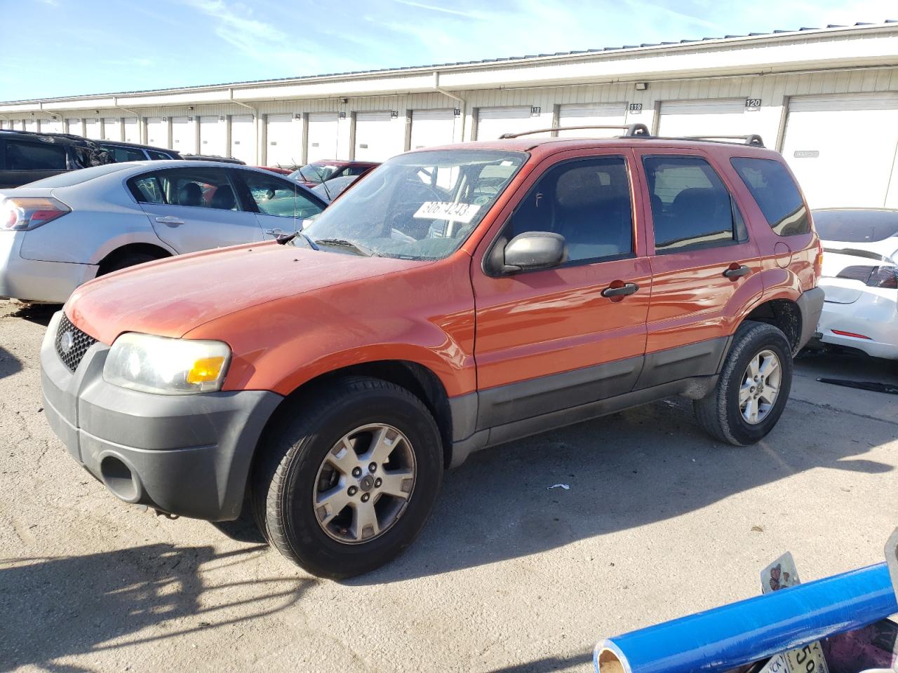 2006 FORD ESCAPE XLT 2006 image