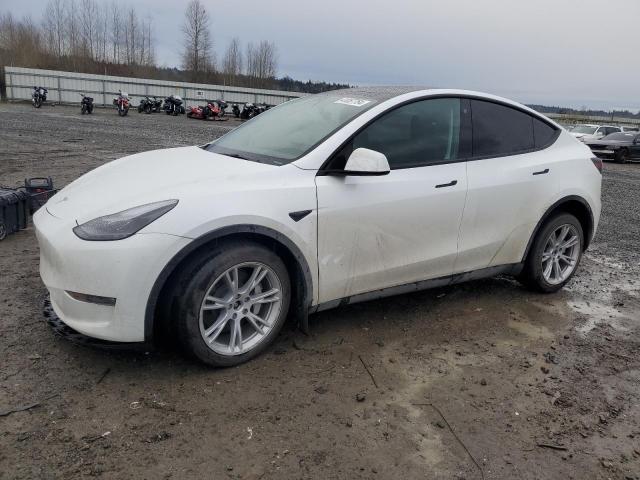 2023 TESLA MODEL Y  2023 image