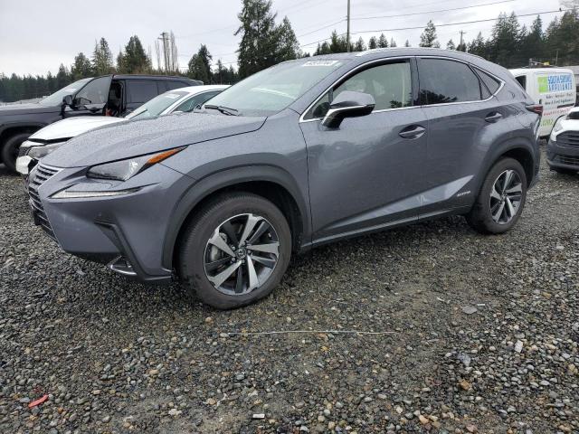 2021 LEXUS NX 300H BASE 2021 image