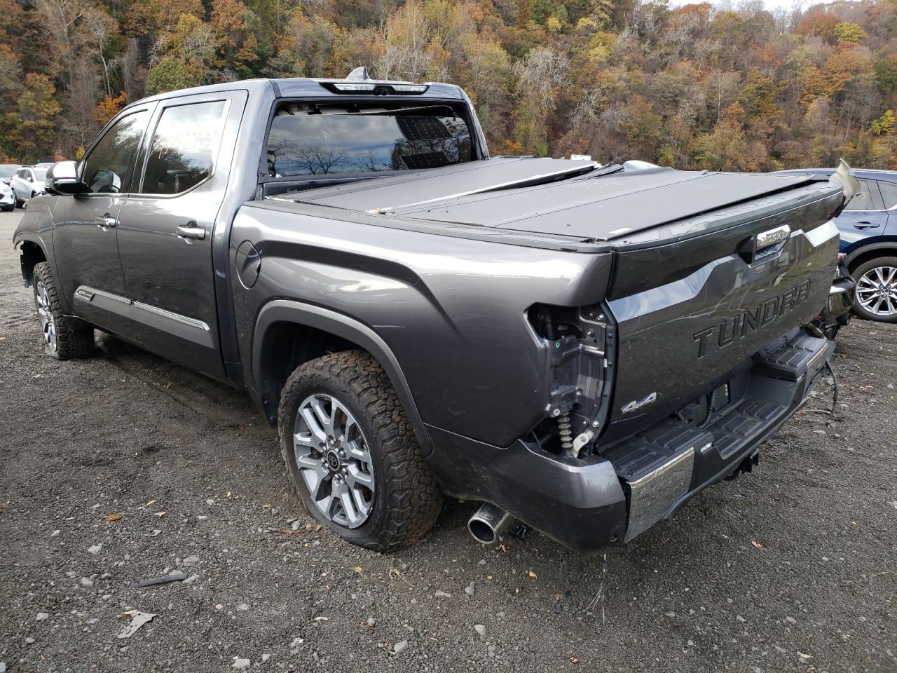 Изображение 2 Toyota Tundra Crewmax Platinum 2023 с VIN 5TFMA5DB9PX076762