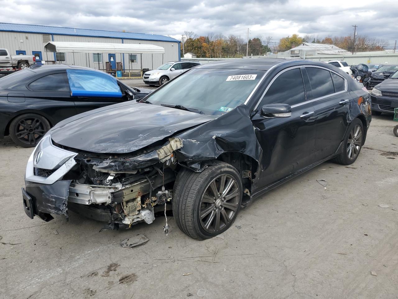 Obraz 2010 ACURA TL  2010