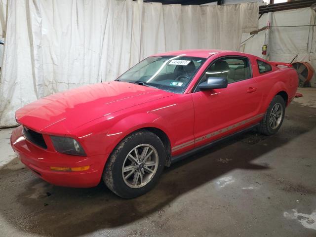 2005 FORD MUSTANG  2005 image