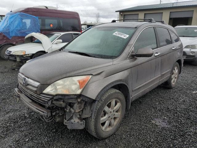 2009 HONDA CR-V EXL 2009 image