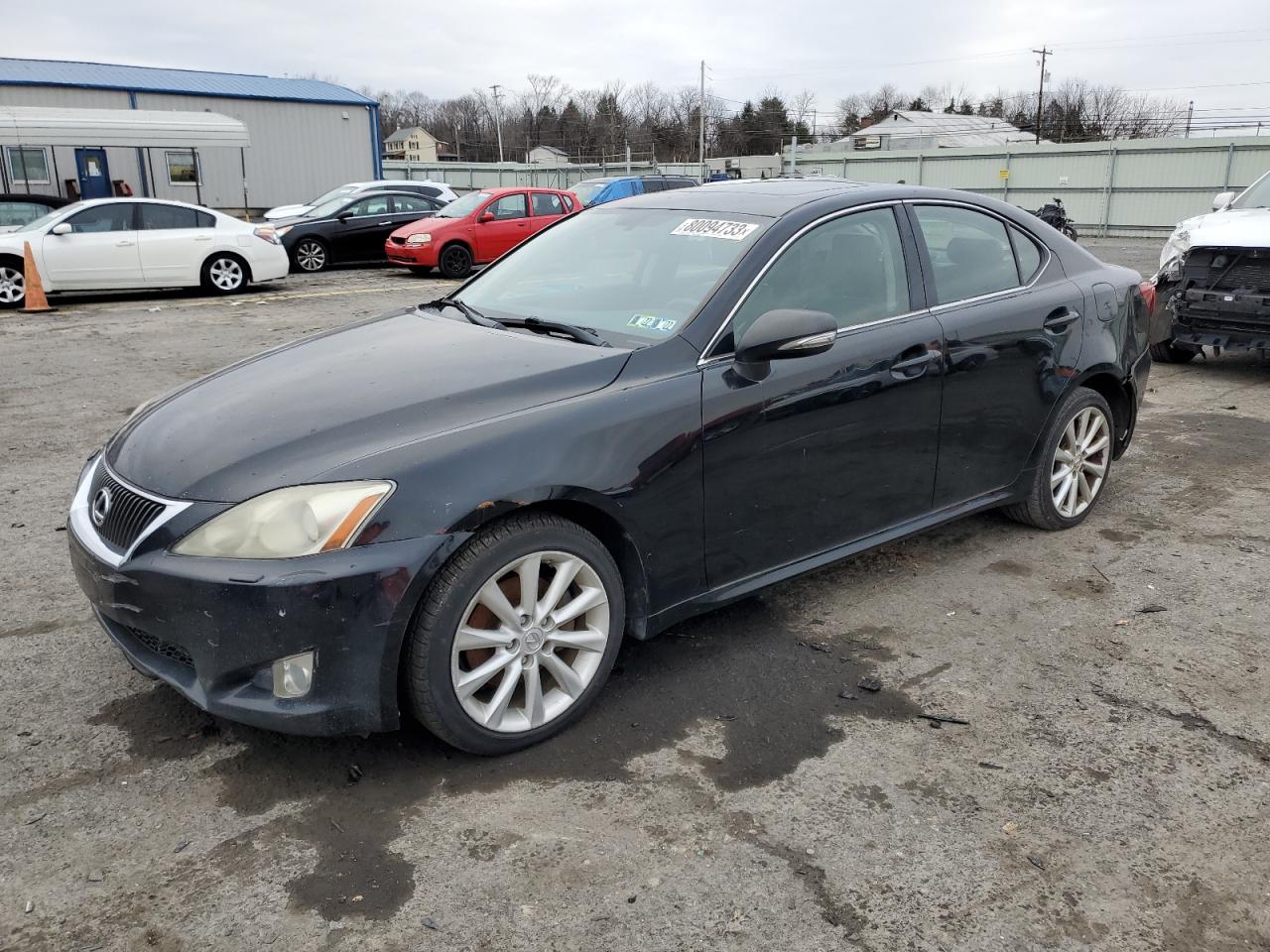 2009 LEXUS IS 250 2009 image