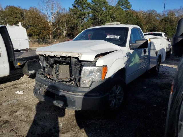 2013 FORD F150  2013 image