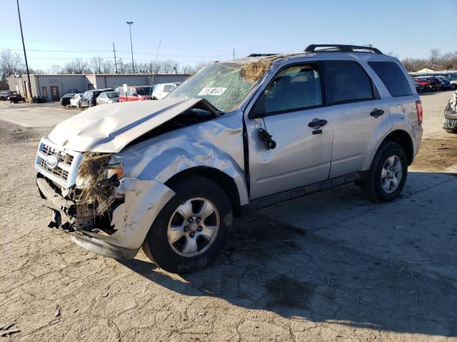Изображение 1 2009 FORD ESCAPE XLT 2009 с VIN 1FMCU03719KA20653