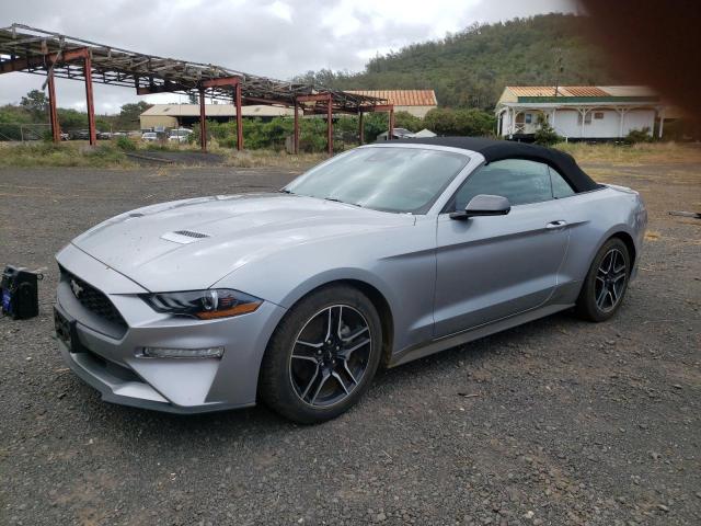 2023 FORD MUSTANG  2023 image