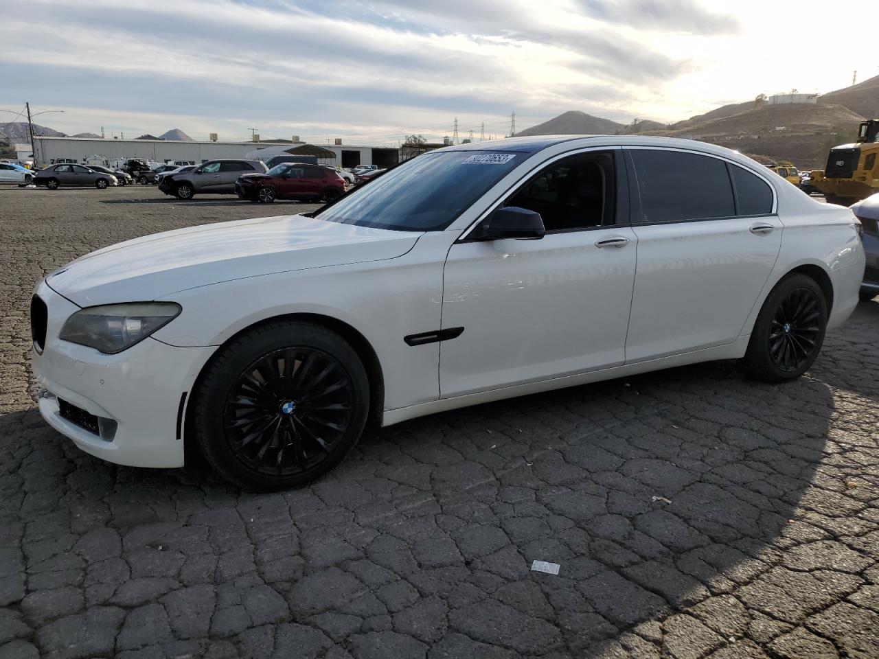2011 BMW 750 LI 2011 image