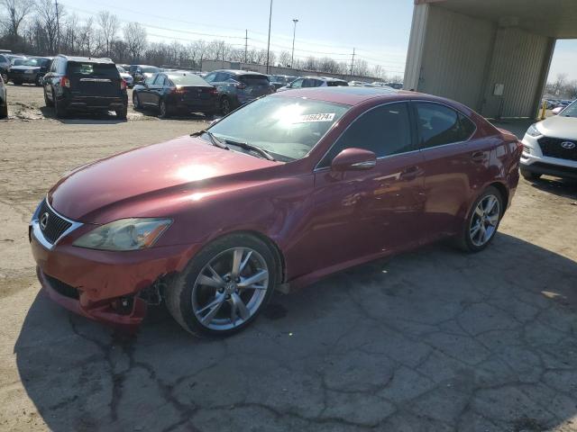 2009 LEXUS IS 250 2009 image