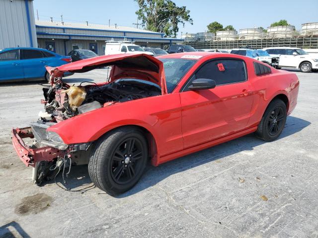 Image 1 of 2014 FORD MUSTANG  2014 with VIN 1ZVBP8AM9E5315066