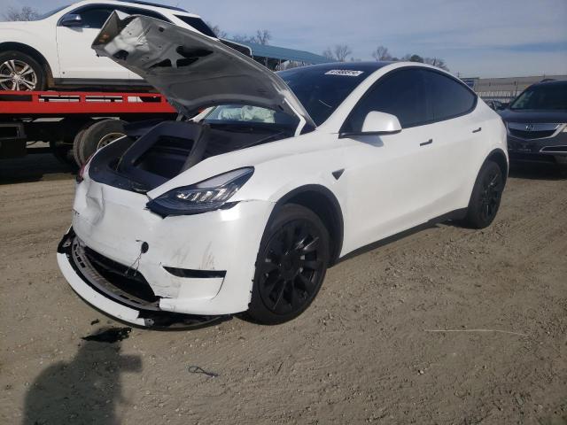 2023 TESLA MODEL Y  2023 image