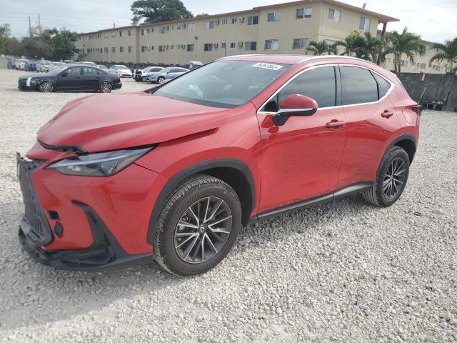 2024 LEXUS NX 250 BASE 2024 image