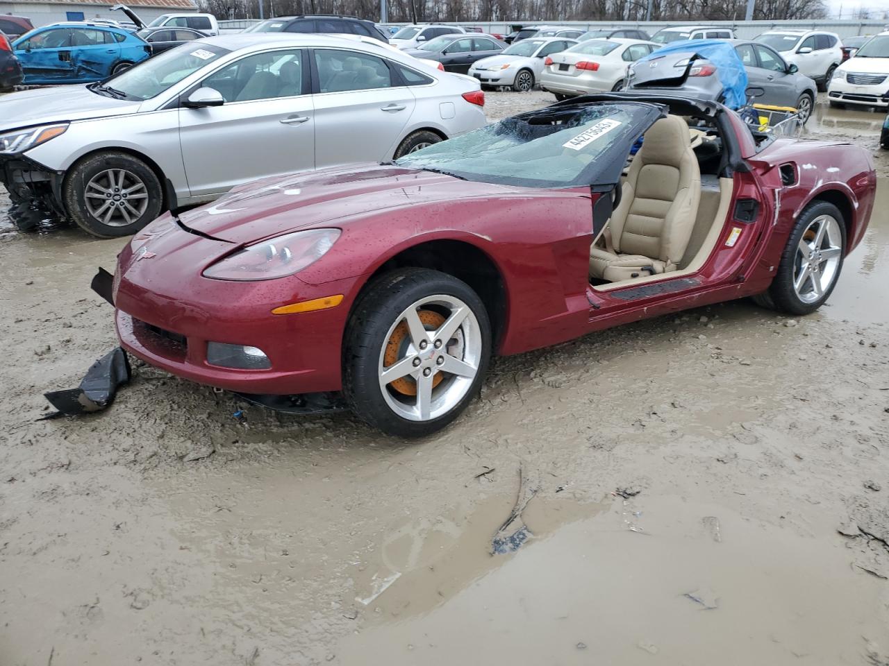 Obraz 2006 CHEVROLET CORVETTE  2006