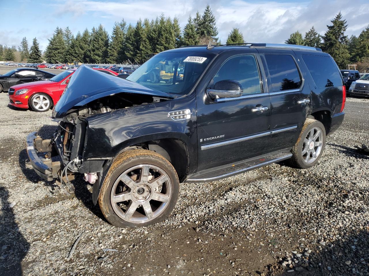2007 CADILLAC ESCALADE LUXURY 2007 image