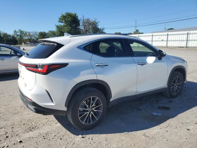 Image 3 of 2022 LEXUS NX 250 2022 with VIN JTJADCEZ7N5000392