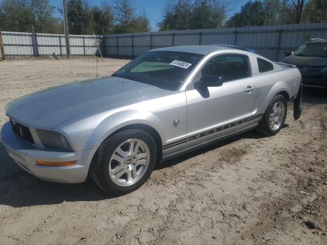 2009 FORD MUSTANG  2009 image