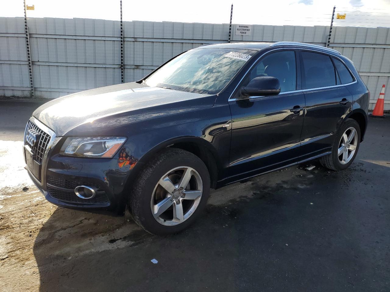 2011 AUDI Q5 PRESTIGE 2011 image