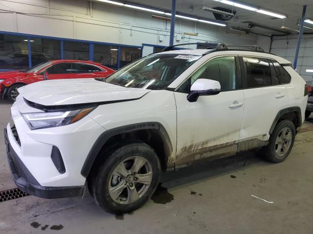 2024 TOYOTA RAV4 XLE 2024 image