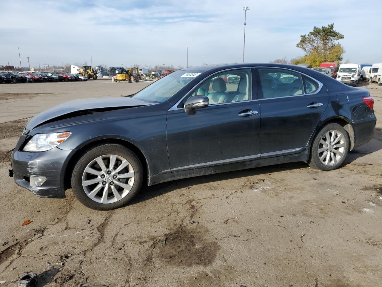 2010 LEXUS LS 460 2010 image